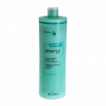 ����������� � �������� 1000 �� Energy KAARAL 1212